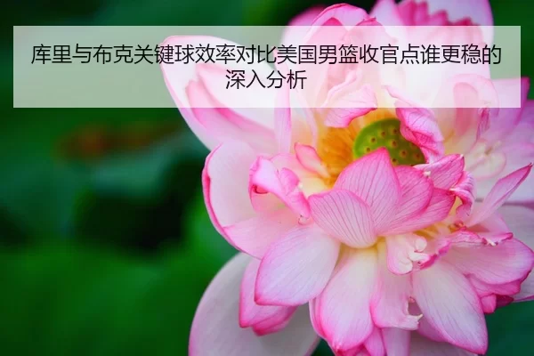 库里与布克关键球效率对比美国男篮收官点谁更稳的深入分析