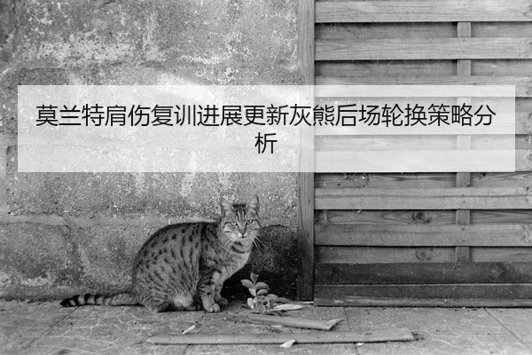 莫兰特肩伤复训进展更新灰熊后场轮换策略分析