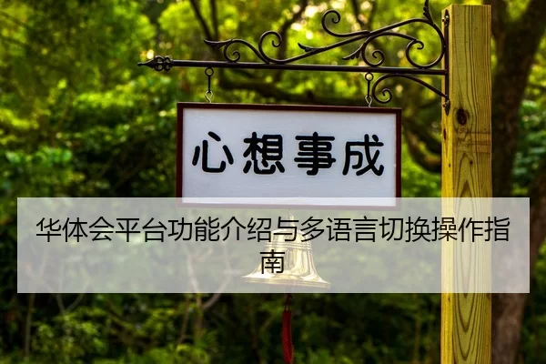 华体会平台功能介绍与多语言切换操作指南